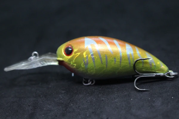 Thumbnail 231