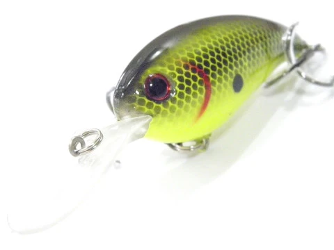Thumbnail 25