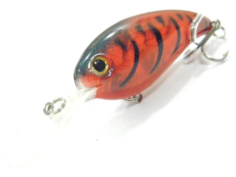 Thumbnail 29