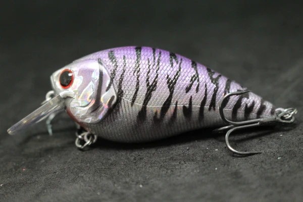 Thumbnail 204