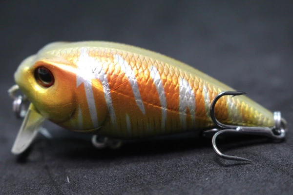 Thumbnail 169