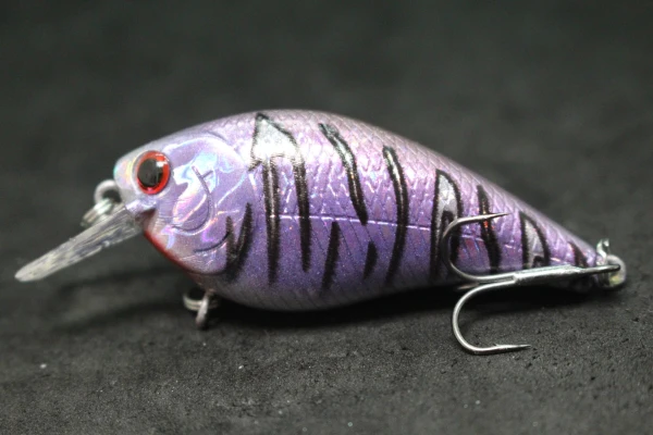 Thumbnail 226