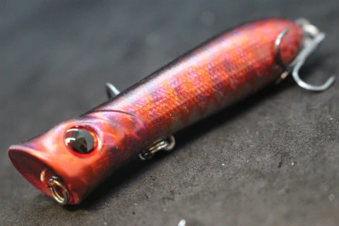 Thumbnail 31