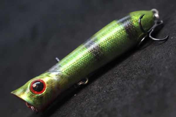 Thumbnail 55